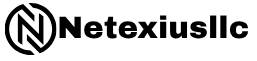 Netexius LLC Footer Logo